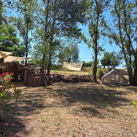 Domloc 4* Carcassonne